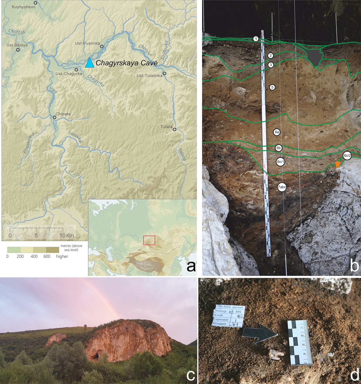 Map of the Chagyrskaya Cave site in the Altai foothills of southwestern Siberia, with an exterior photograph of the cave and a photograph of the excavation stratigraphy where the tooth was recovered.